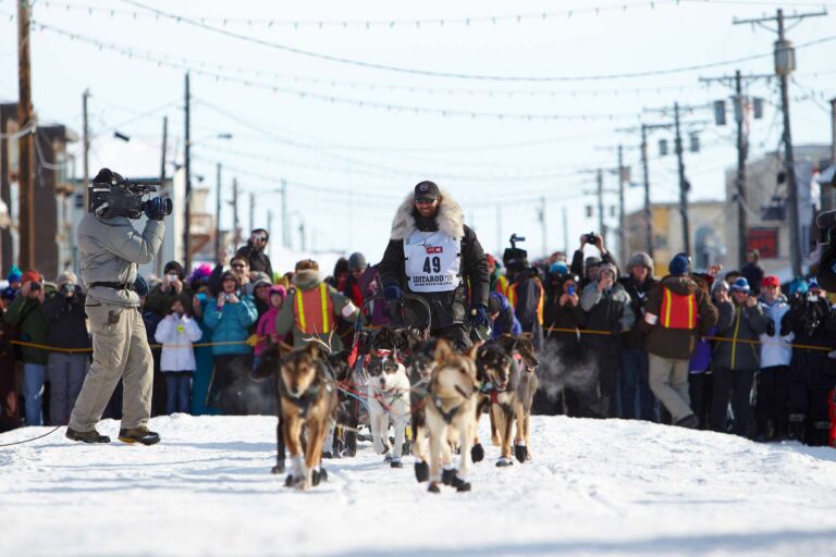 alaska iditarod sled dog race finish nome atia