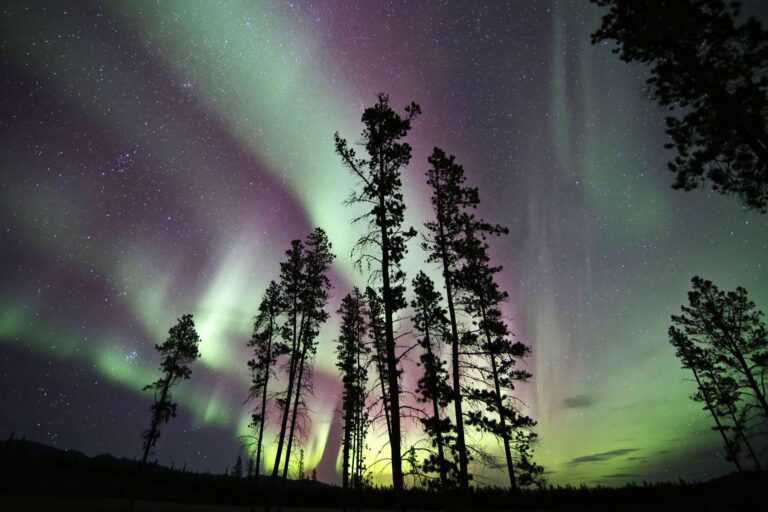 canada yukon aurora from northern lights resort