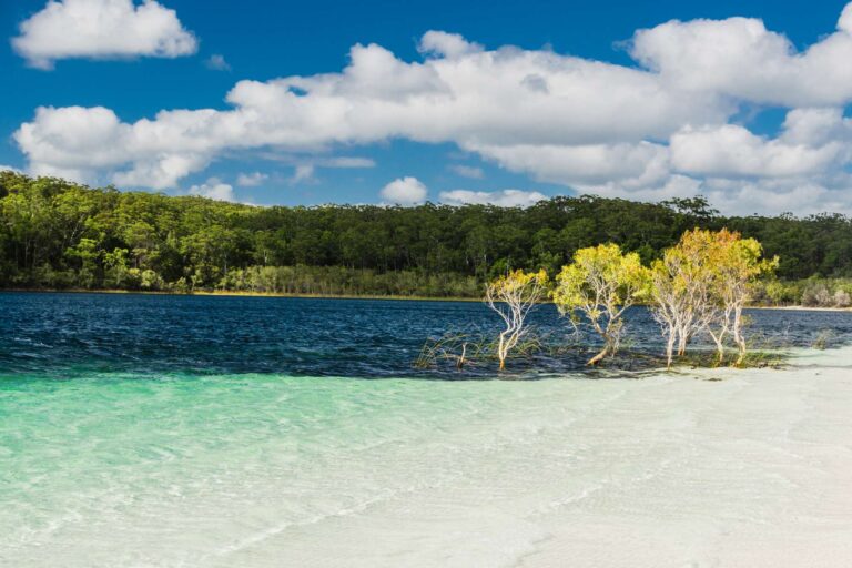 australia queensland lake mckenzie fraser island istk