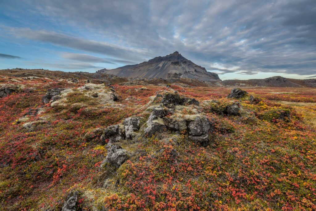 iceland mt stapafell snaefellsnes autumn rth