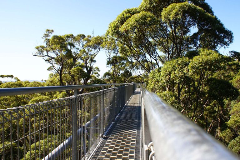 western australia treetop walk pemberton pf