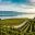 switzerland terraced vineyards lavaux maude rion