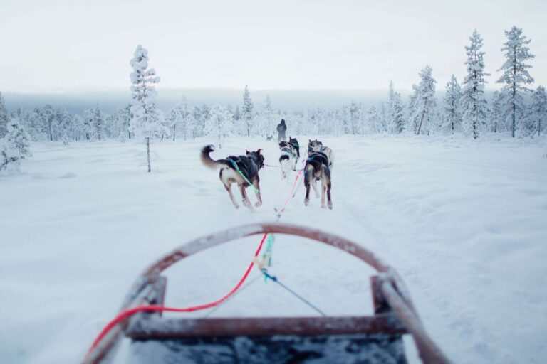 finland husky sledding at inari pov