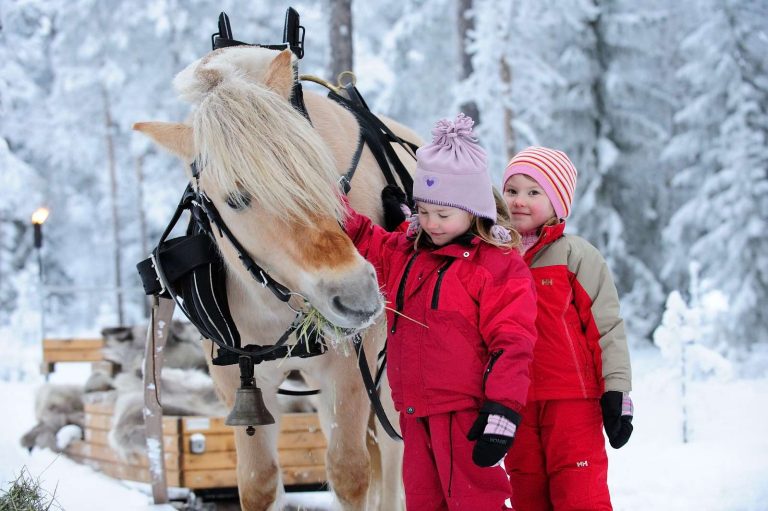 norway trysil horse sleigh ride skiscan