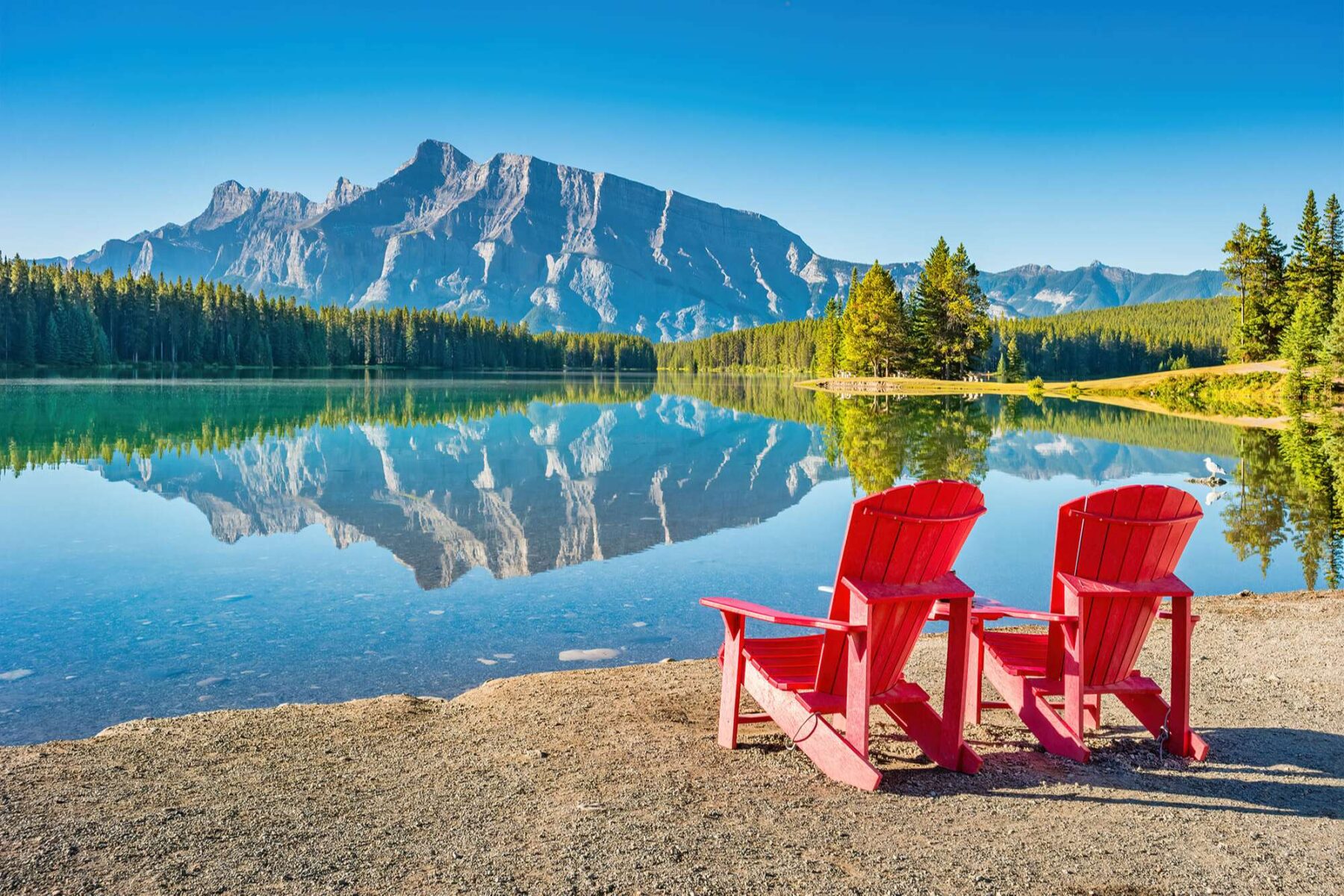 canada adirondak chairs overlooking mt rundle banff national park istk