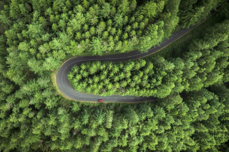 canada road winds through pine trees drone view istk