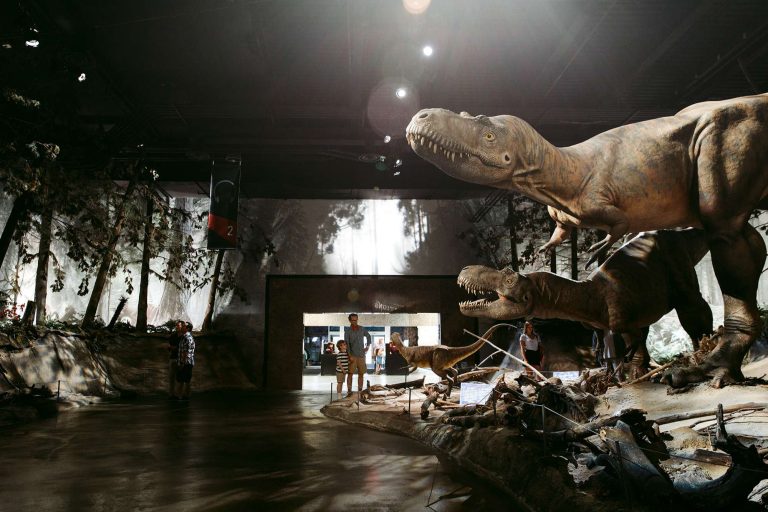canada alberta exploring dinosaur museum drumheller ta