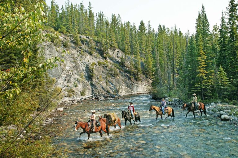 canada alberta horse riding banff national park ta