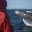 iceland reykjavik rib tour humpback breaching eld