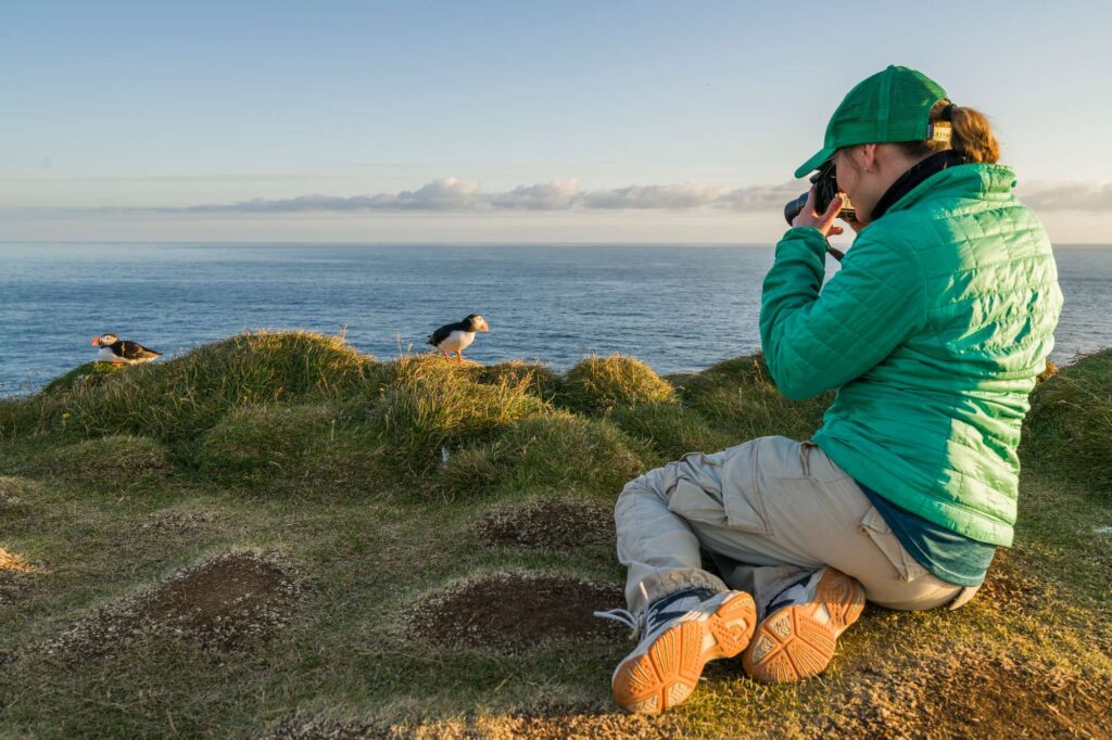 iceland west fjords latrabjarg woman photographing puffins rth