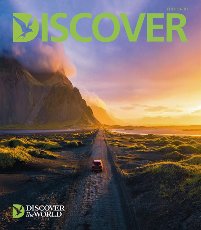 discover magazine ed7 cover