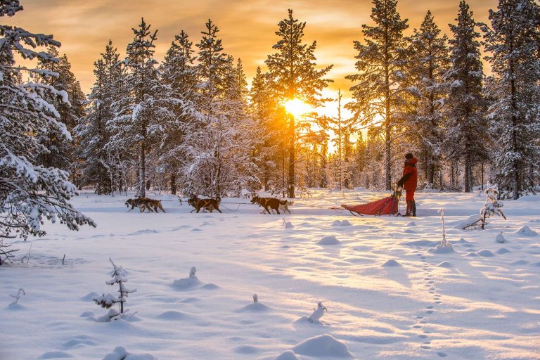 swedish lapland husky sledding under winter sun gar
