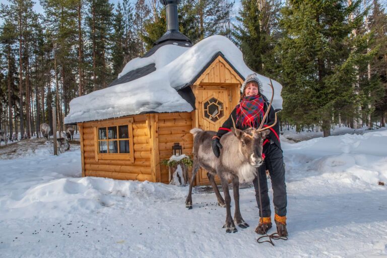 swedish lapland sami herder with reindeer gar