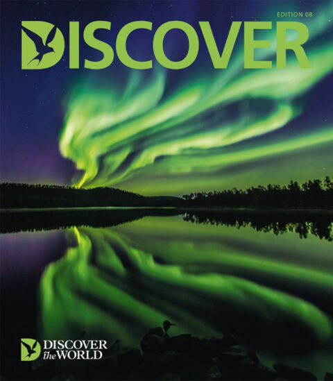 discover magazine ed8 cover