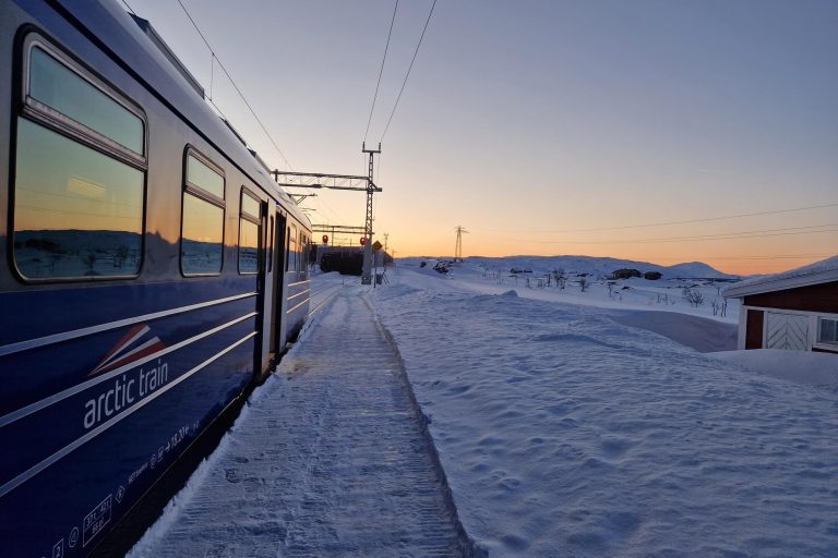 arctic train