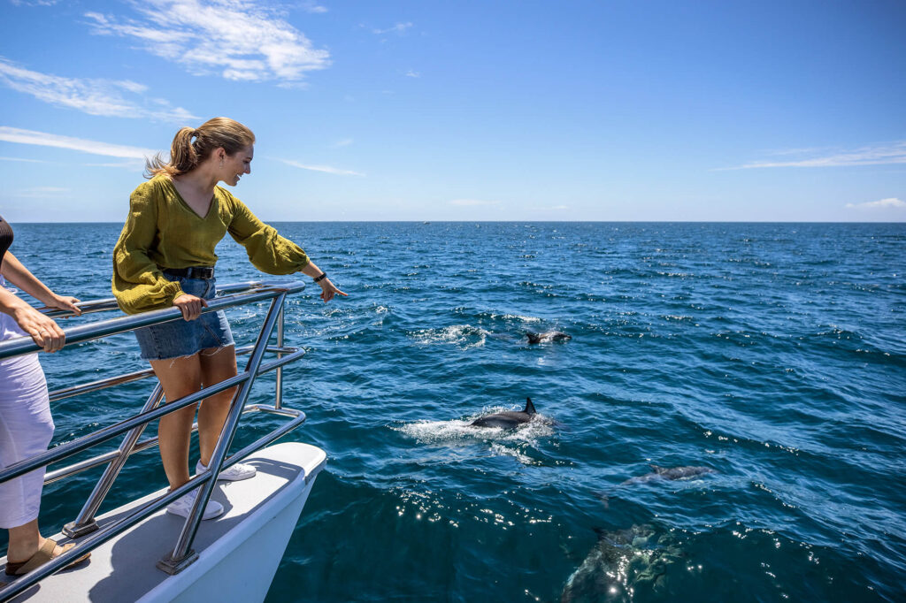 new-zealand-dolphin-watching-in-hauraki-gulf-auckland-tnz