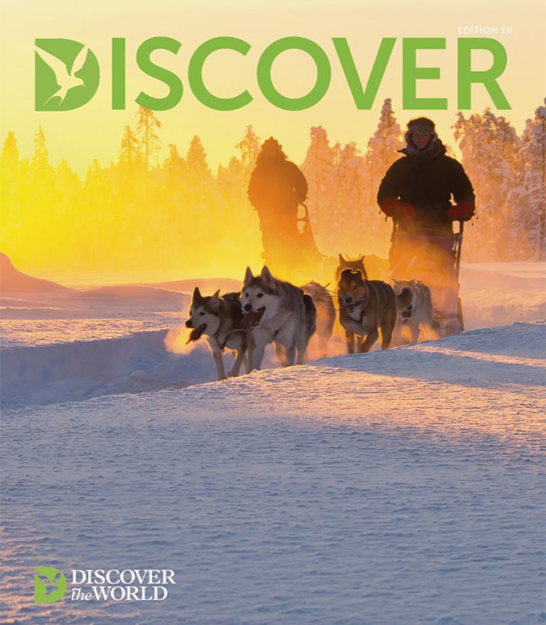 discover-magazine-ed10-cover