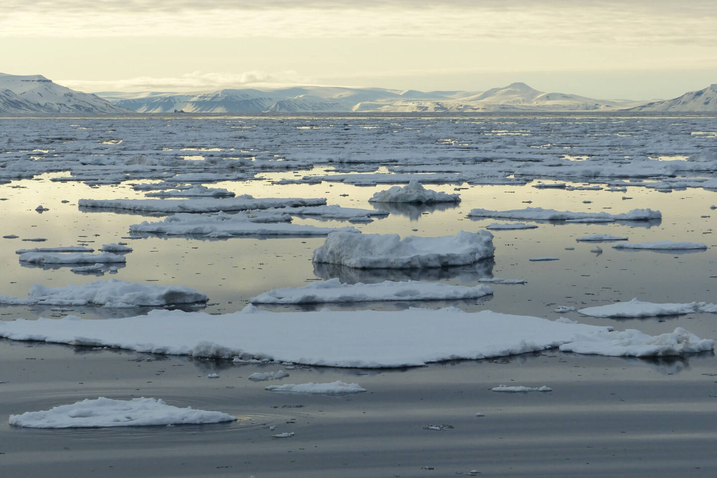svalbard-sea-ice-on-calm-water-pf