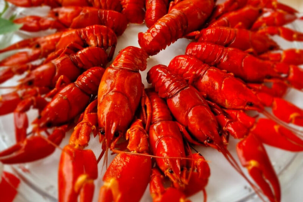 radalla-resort-crayfish-dinner