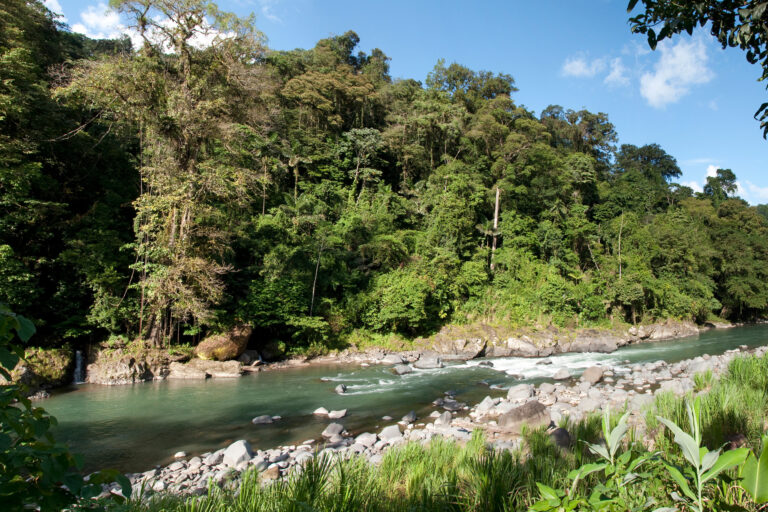 costa rica pacuare river view istk
