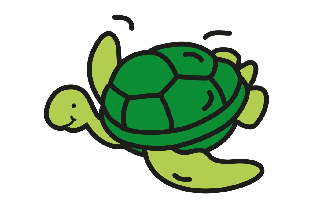 edu-responsible-travel-turtle