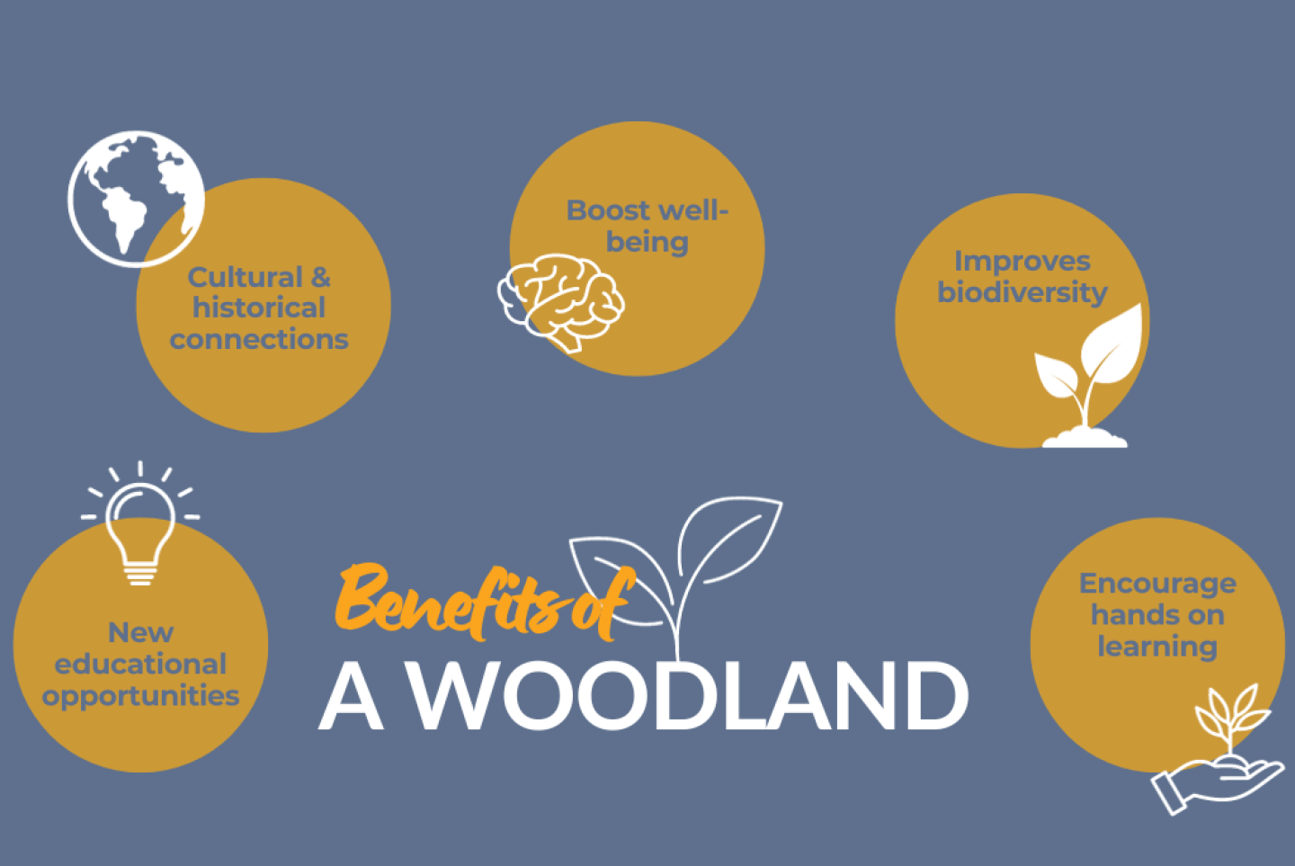 Inforgraphic showing the benefits growing a woodland has on students learning outside