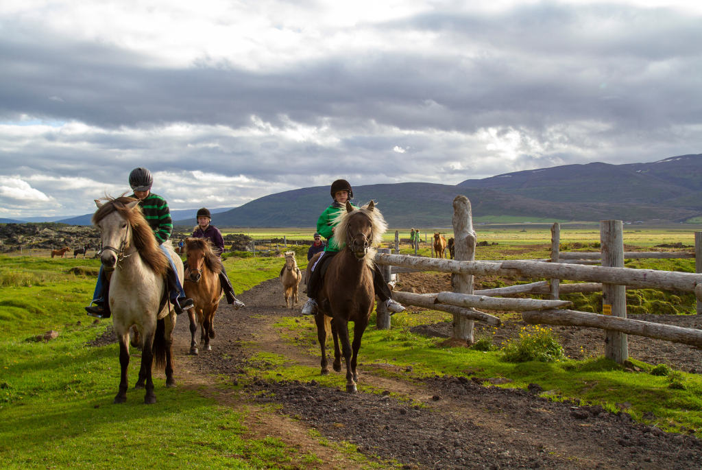 Picture of people horseback riding icelandic horses in the countryside with a green field and hills in the background